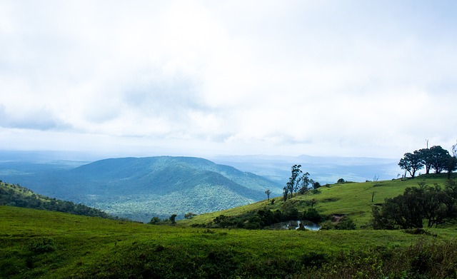 人气趋势 人气趋势