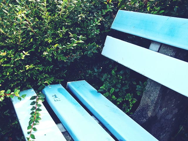 新赛季的 新赛季的