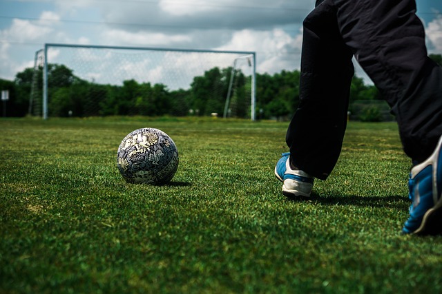 会和经济影 会和经济影